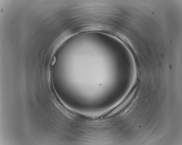 X0000073711179200608031232