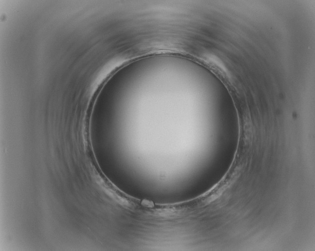 X0000073711182200608031232