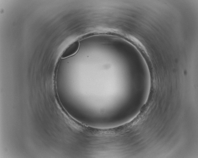 X0000073711183200608031232