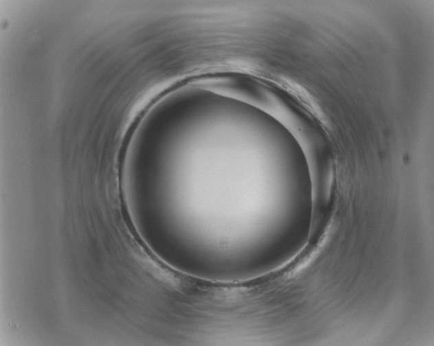 X0000073711184200608031232