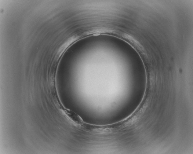 X0000073711185200608031232