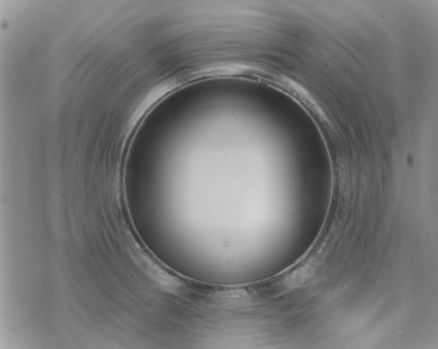 X0000073711186200608031232