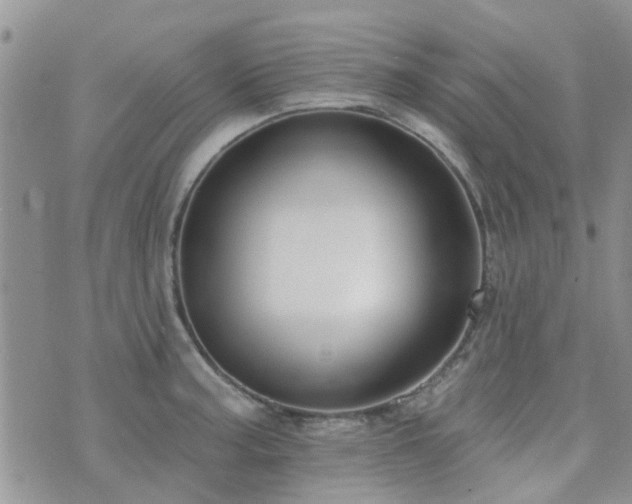 X0000073711187200608031232