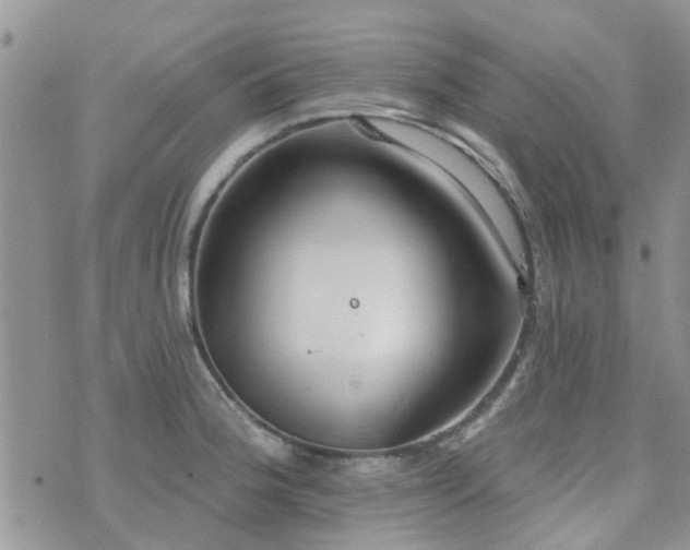 X0000073711188200608031232