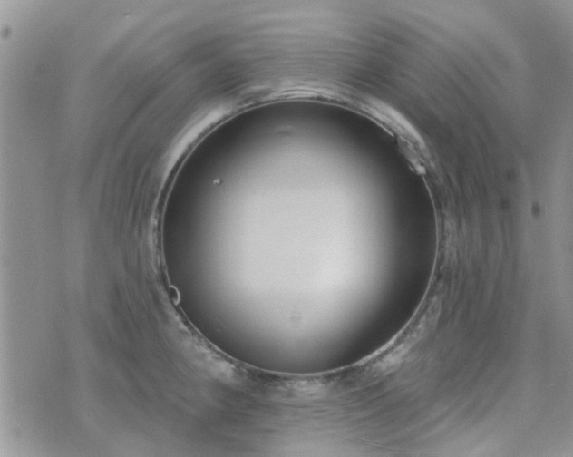 X0000073711190200608031232