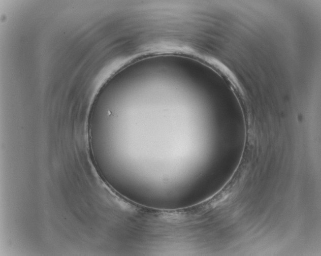 X0000073711191200608031232