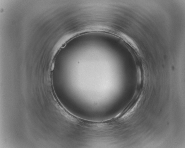 X0000073711192200608031232