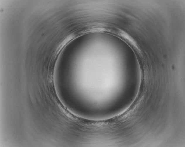 X0000073711193200608031232