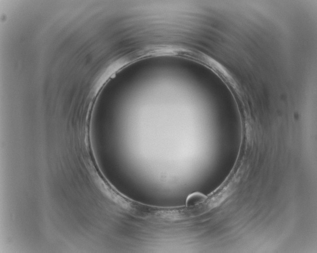 X0000073711194200608031232