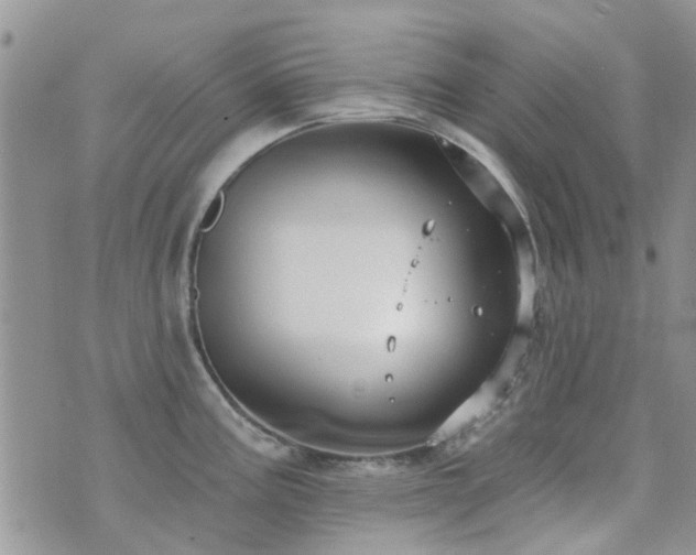 X0000073711195200608031232