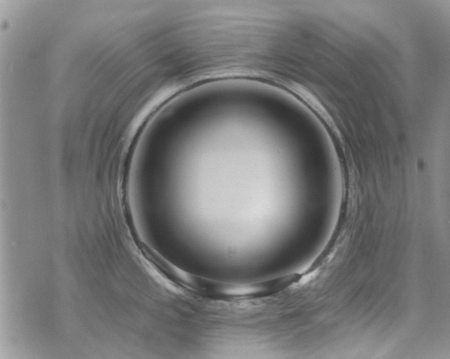 X0000073711197200608031232