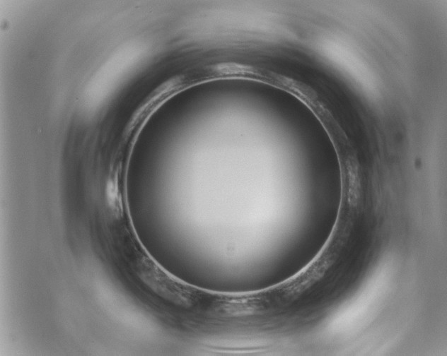 X0000073711198200608031232