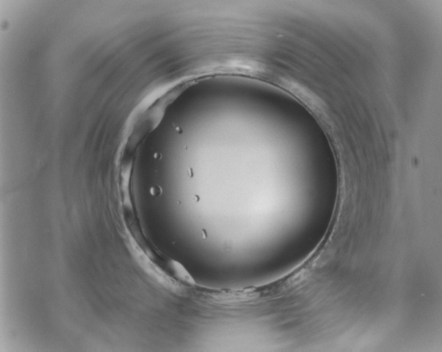 X0000073711200200608031232