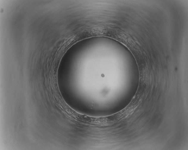 X0000073711201200608031231