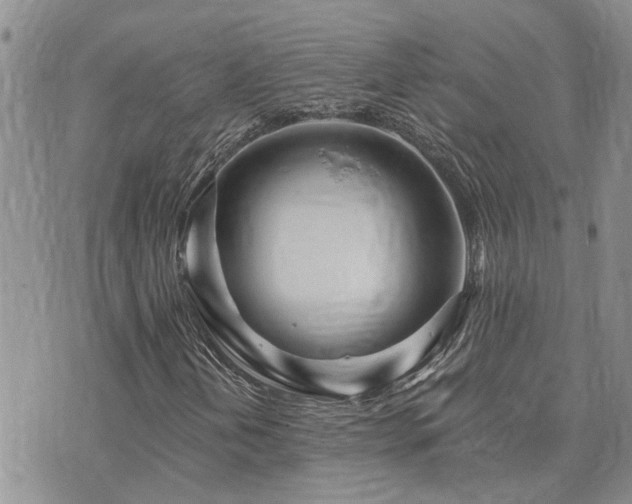 X0000073711202200608031231