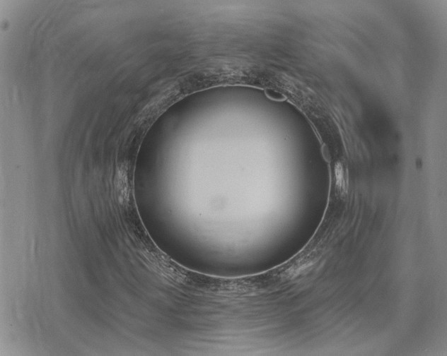 X0000073711203200608031231