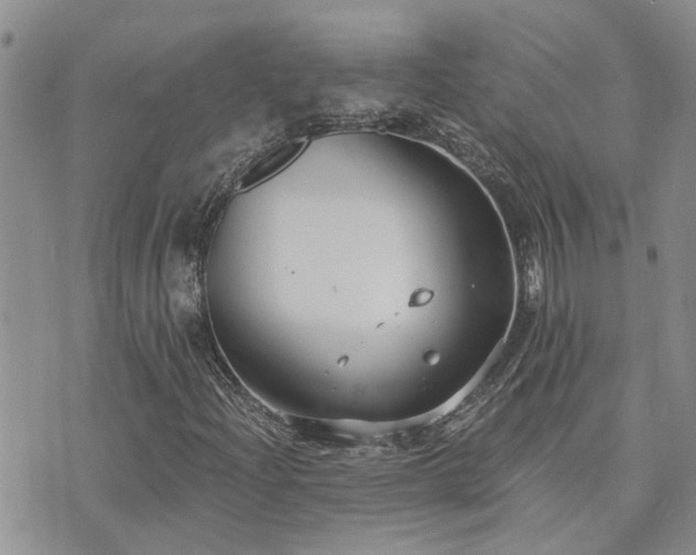 X0000073711204200608031231