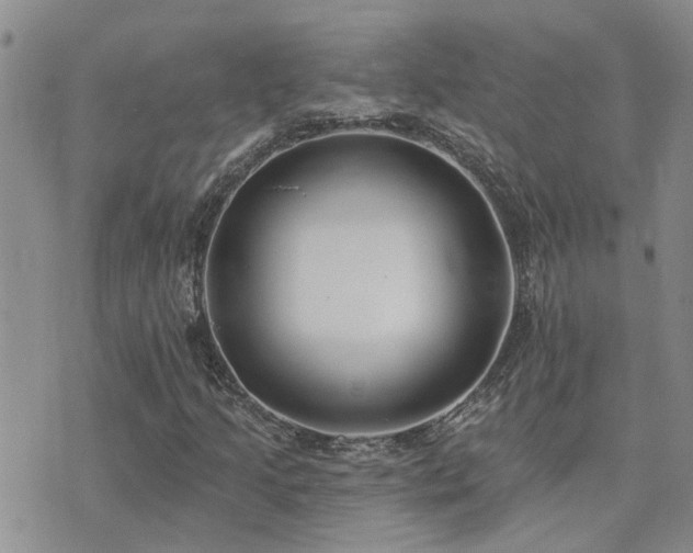 X0000073711205200608031231