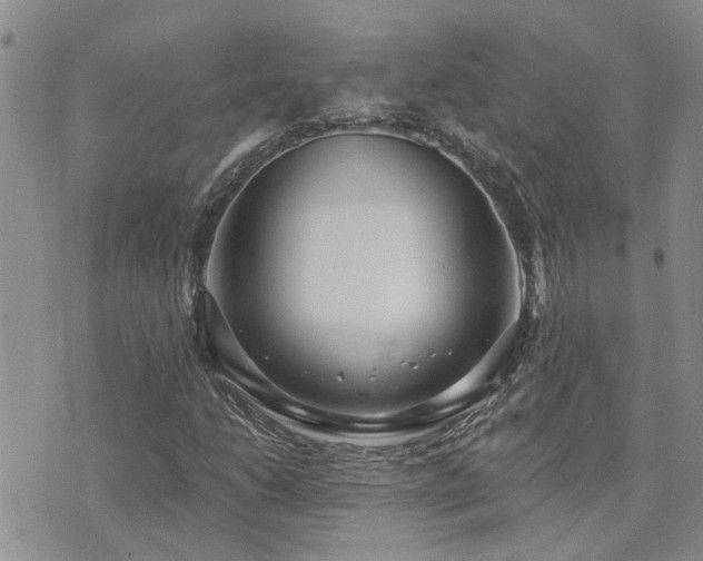 X0000073711206200608031231