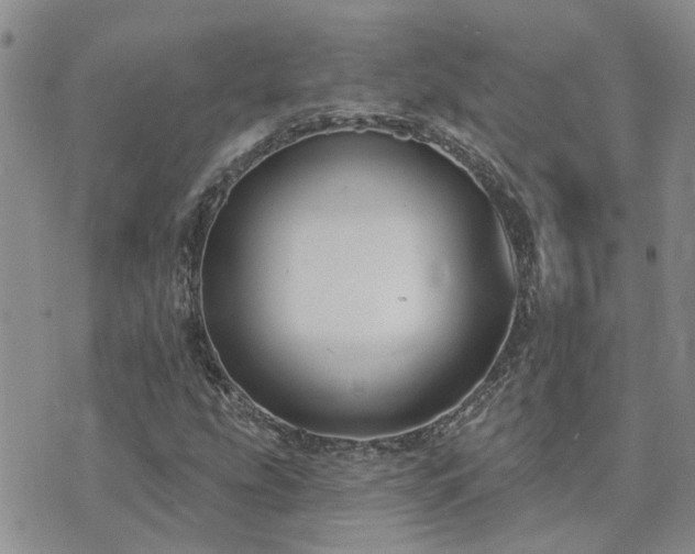 X0000073711207200608031231