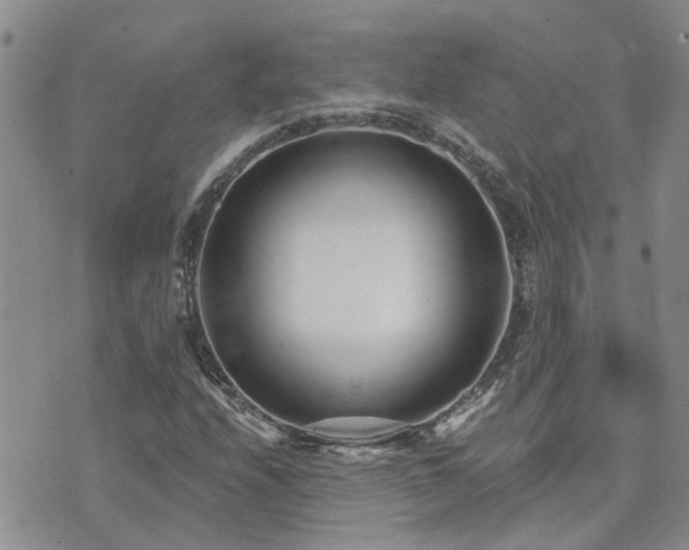 X0000073711208200608031231