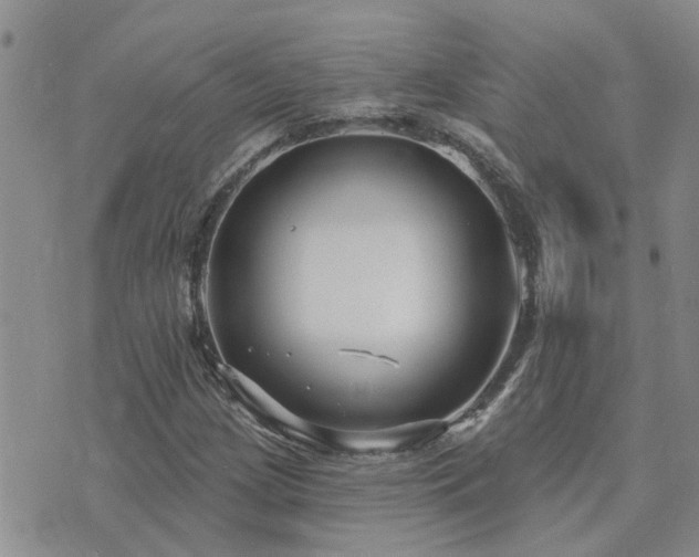 X0000073711209200608031231