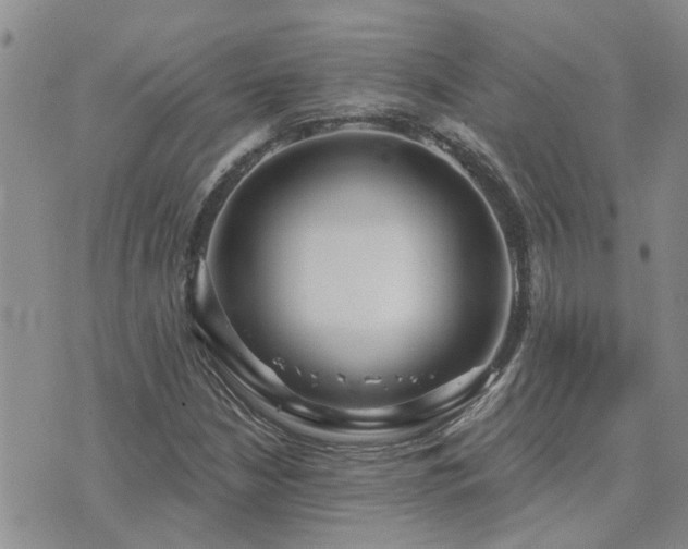 X0000073711210200608031231