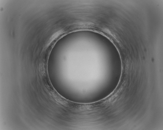 X0000073711211200608031231