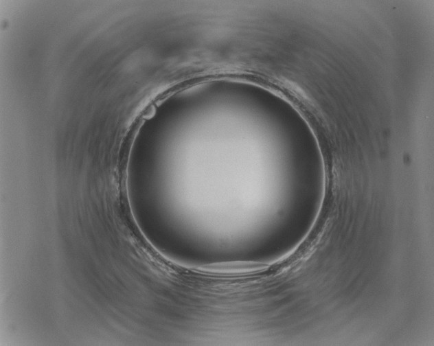 X0000073711212200608031231