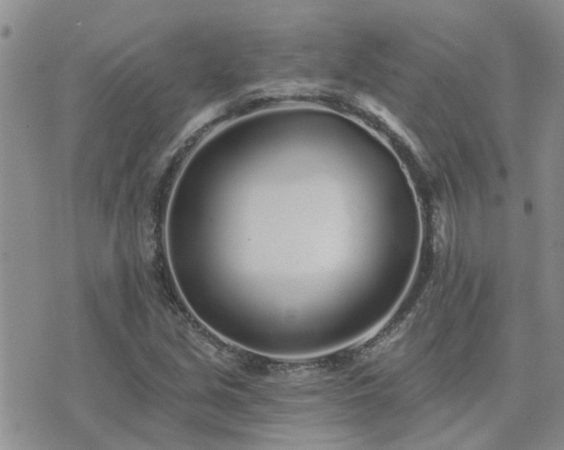 X0000073711213200608031231