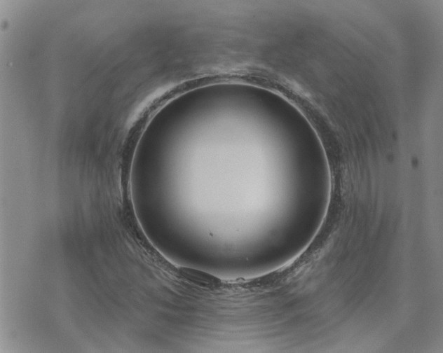 X0000073711214200608031231