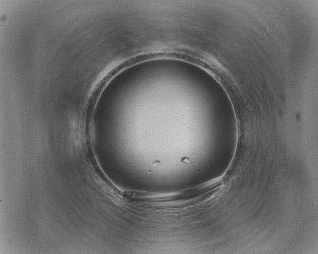 X0000073711216200608031231