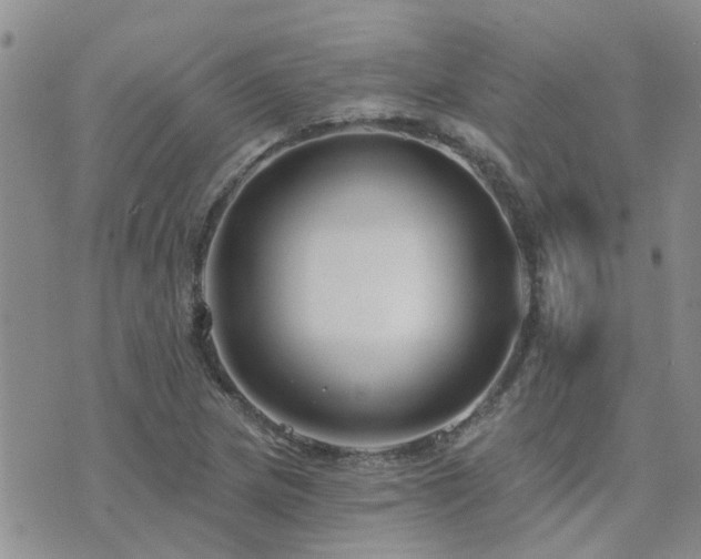 X0000073711217200608031231