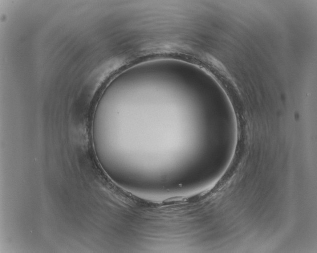 X0000073711218200608031231