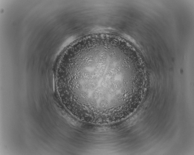 X0000073711219200608031231