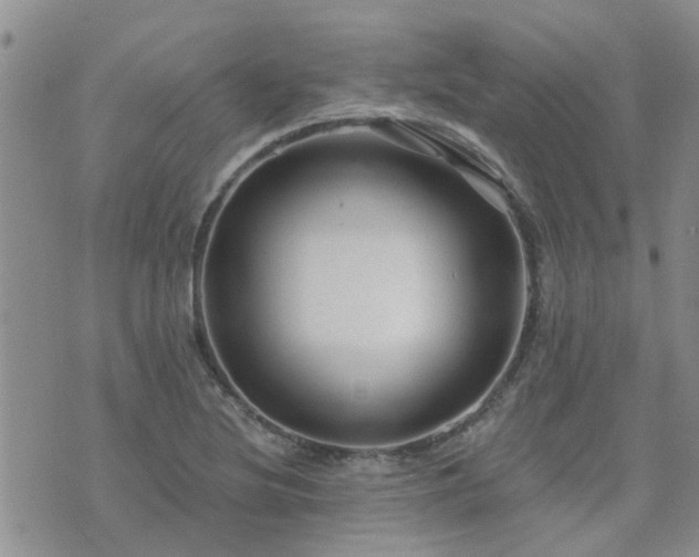 X0000073711220200608031231