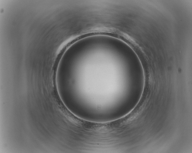 X0000073711222200608031231