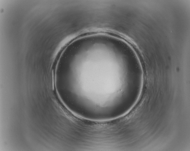 X0000073711223200608031231