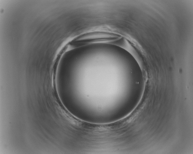 X0000073711224200608031231