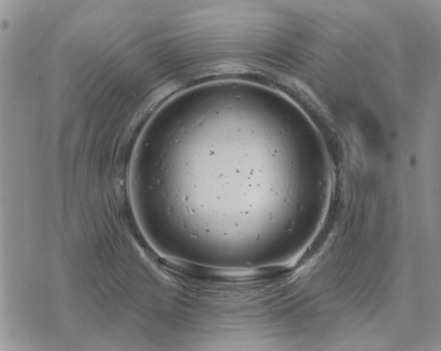 X0000073711225200608031231