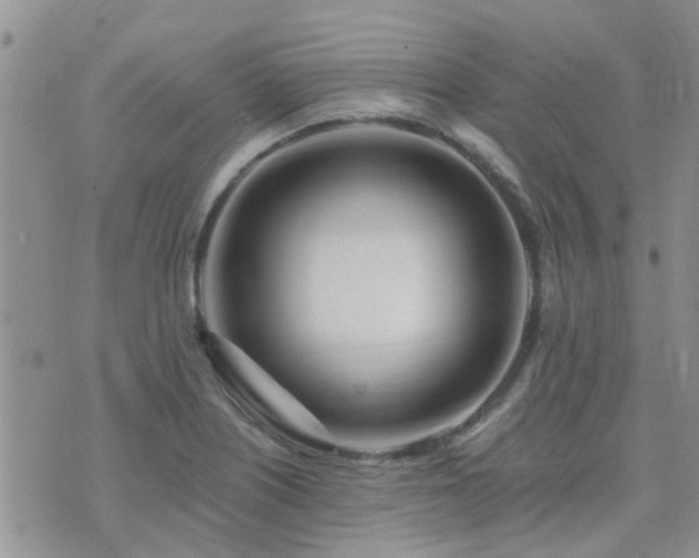 X0000073711226200608031231