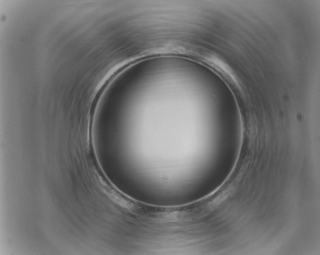 X0000073711228200608031231