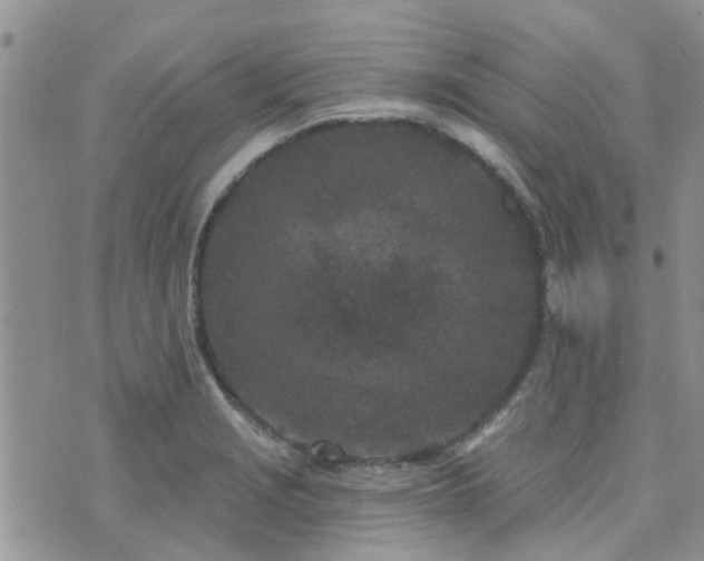 X0000073711229200608031231