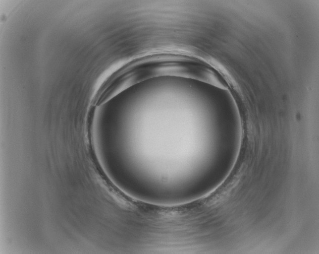 X0000073711230200608031231