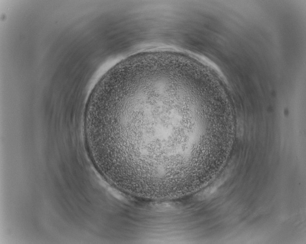 X0000073711231200608031231