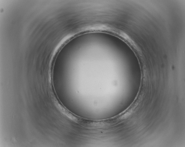 X0000073711232200608031231