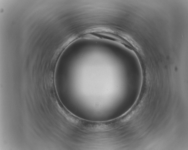 X0000073711233200608031231