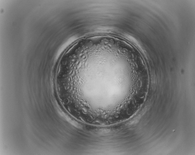 X0000073711235200608031231