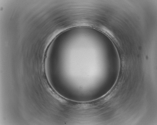 X0000073711236200608031231