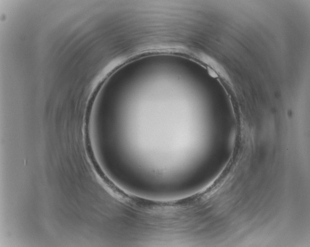 X0000073711237200608031231